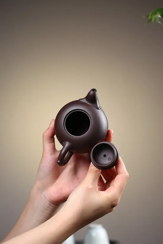 Zisha Teapots: Prosperous Era | 900 CNY 2