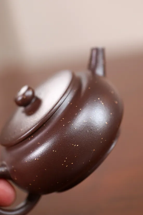 Zisha Teapots: Zhou Pan | sand-inlaid design 9