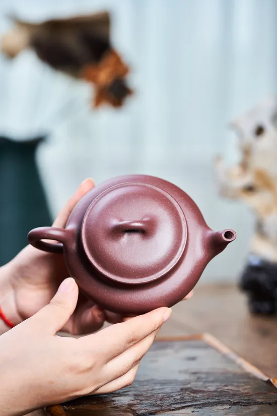 Zisha Teapots: Flat Cherry | Ziyu Jinsa clay 7