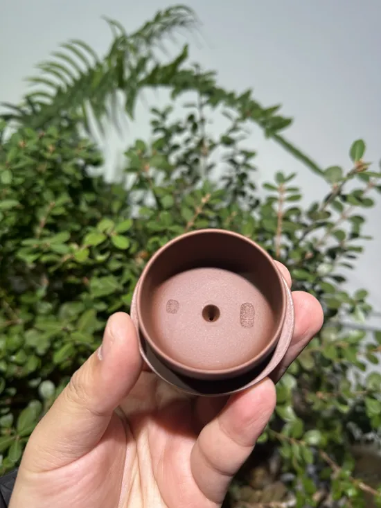 Zisha Teapots: Shi Yuan | Jiang Sujie 1