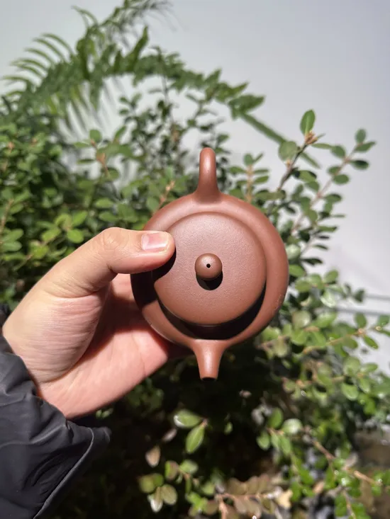 Zisha Teapots: Shi Yuan | Jiang Sujie 6