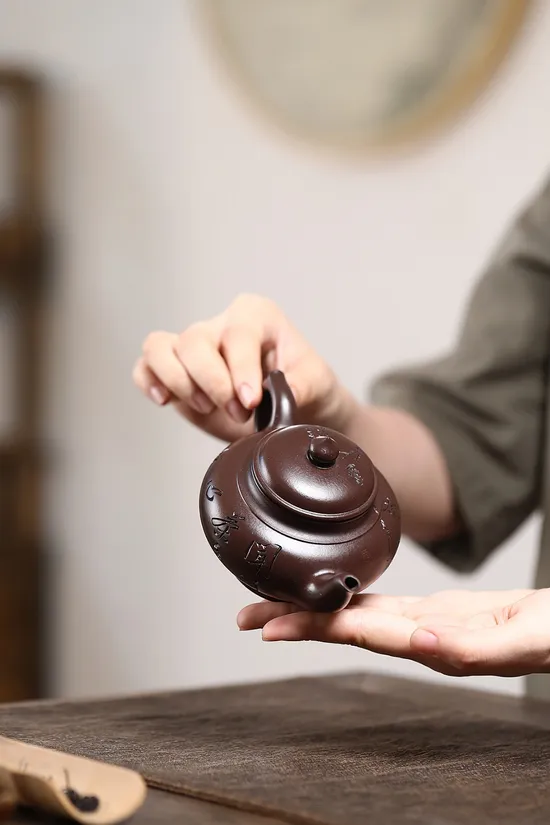 Premium Yixing Teapot | Handcrafted Zisha Clay Artisan Craft 2
