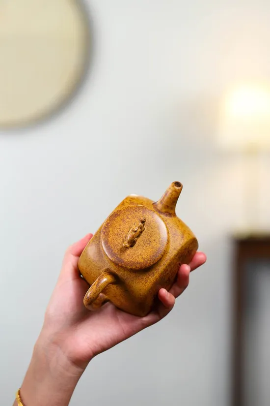 Zisha Teapots: Square Pixiu | Lianyun Yuan 2