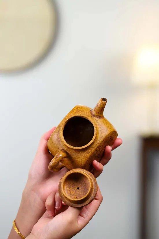 Zisha Teapots: Square Pixiu | Lianyun Yuan 5