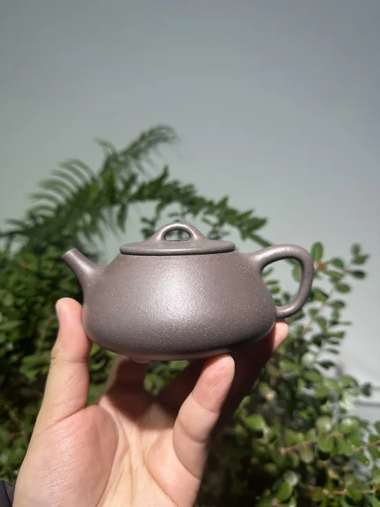 Zisha Teapots: qing hui duan clay | 225cc capacity 2
