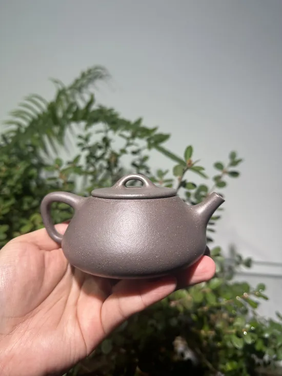 Zisha Teapots: qing hui duan clay | 225cc capacity 3