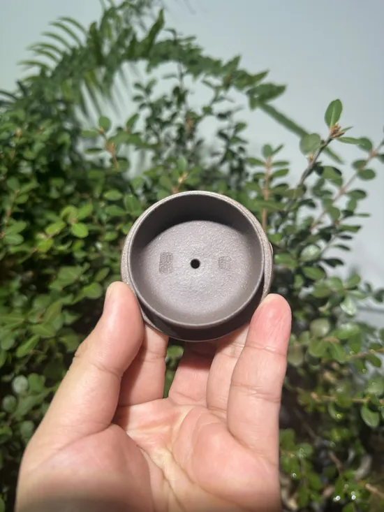 Zisha Teapots: qing hui duan clay | 225cc capacity 5