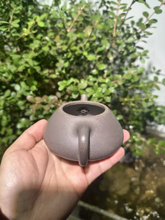 Zisha Teapots: qing hui duan clay | 225cc capacity 6
