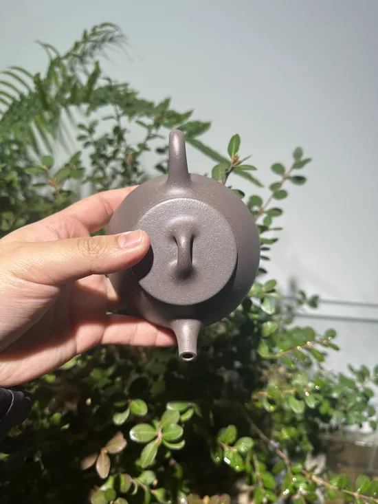 Zisha Teapots: qing hui duan clay | 225cc capacity 7