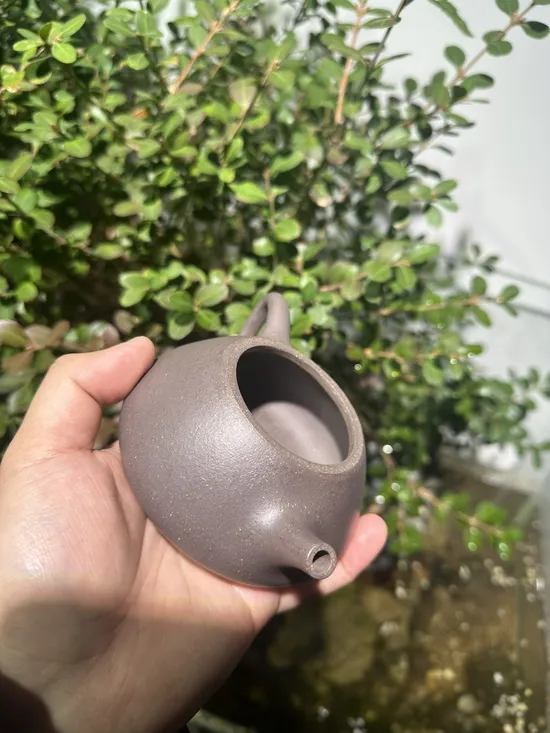 Zisha Teapots: qing hui duan clay | 225cc capacity 8