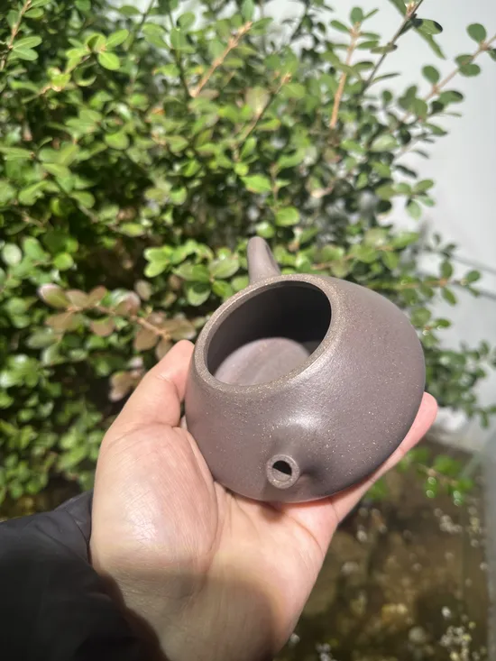 Zisha Teapots: qing hui duan clay | 225cc capacity 9