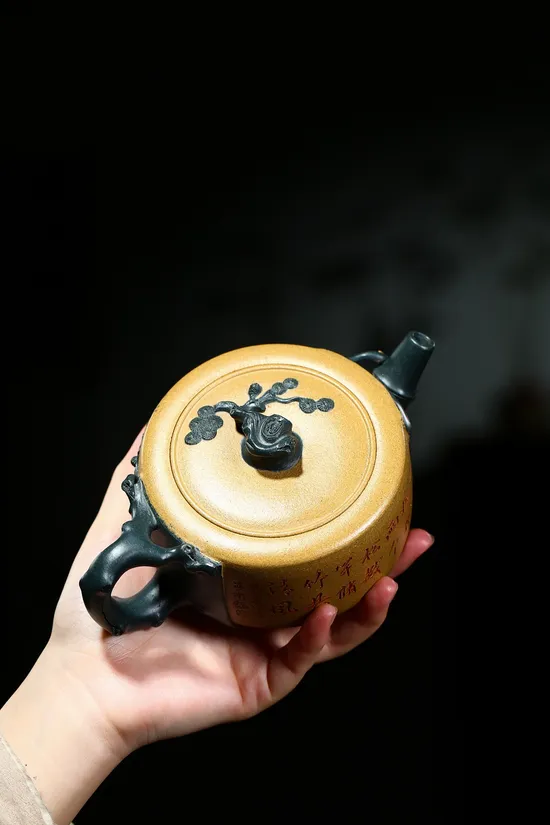Zisha Teapots: Jingsong | Duan clay 5