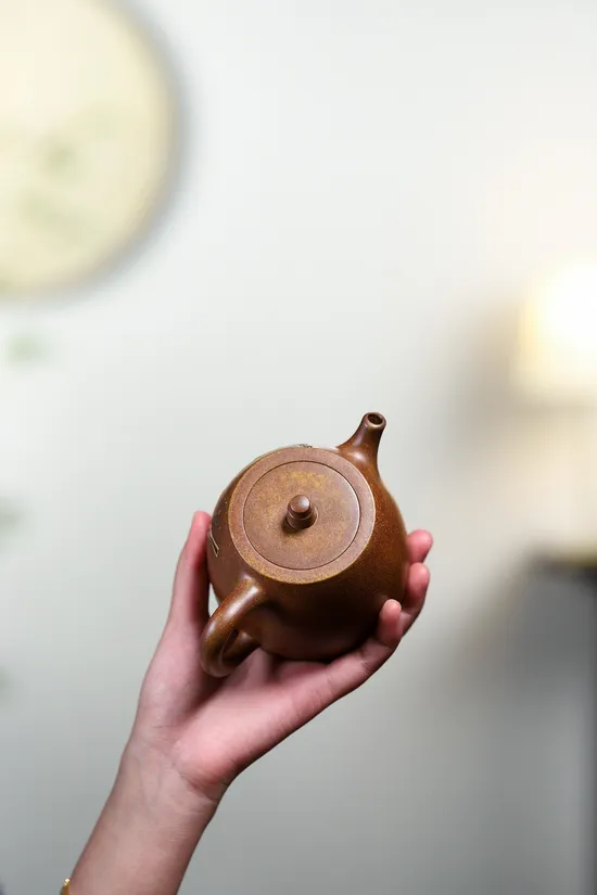 Zisha Teapots: Yang Junbao | Golden Duan clay | 3000 CNY 6