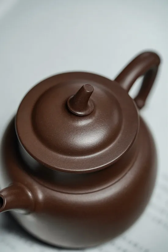 Zisha Teapots: Bamboo Blessing | old purple clay 2
