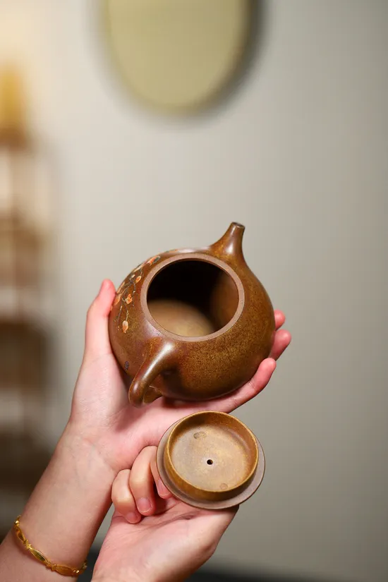 Zisha Teapots: Golden Duan clay | Master Yang Junbao | 290cc capacity 5