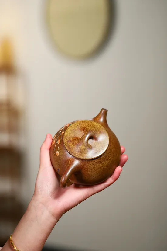 Zisha Teapots: Golden Duan clay | Master Yang Junbao | 290cc capacity 6