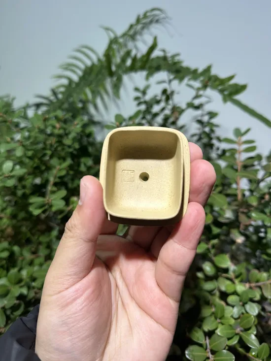 Zisha Teapots: Benshan Duan clay | 210cc capacity 1
