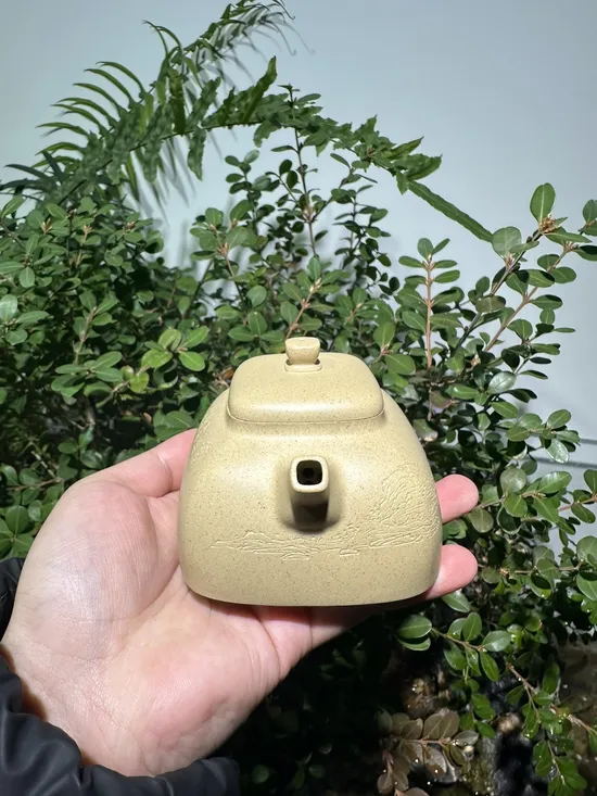 Zisha Teapots: Benshan Duan clay | 210cc capacity 2