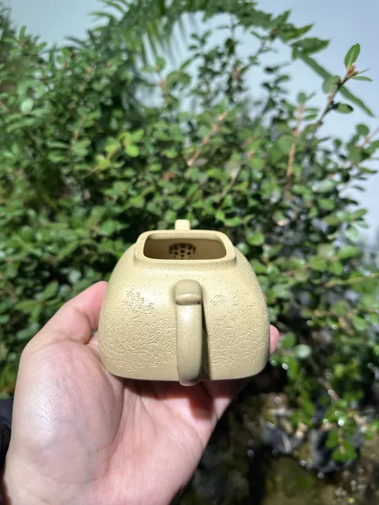 Zisha Teapots: Benshan Duan clay | 210cc capacity 3
