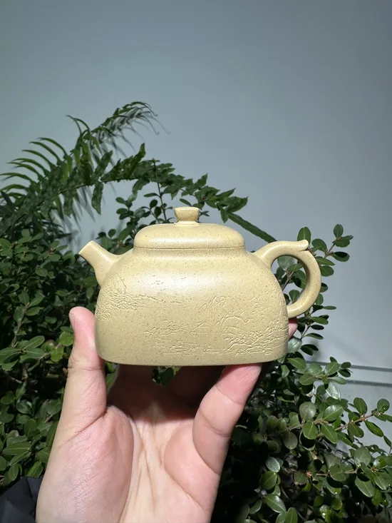 Zisha Teapots: Benshan Duan clay | 210cc capacity 5
