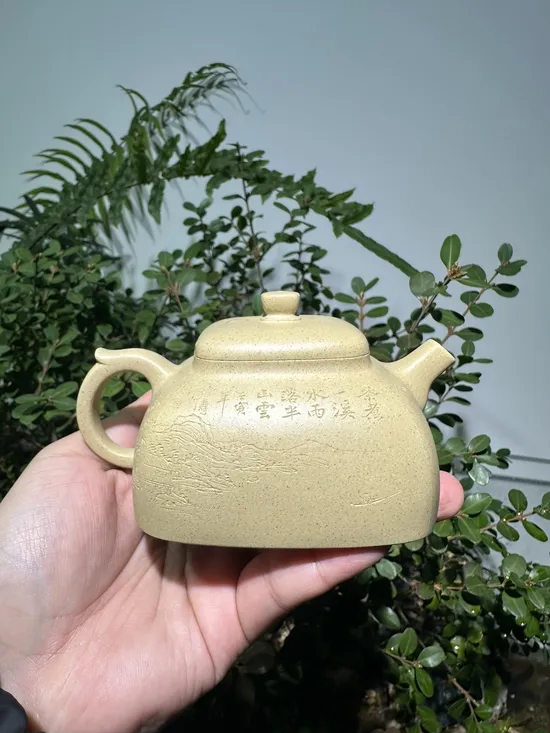 Zisha Teapots: Benshan Duan clay | 210cc capacity 6