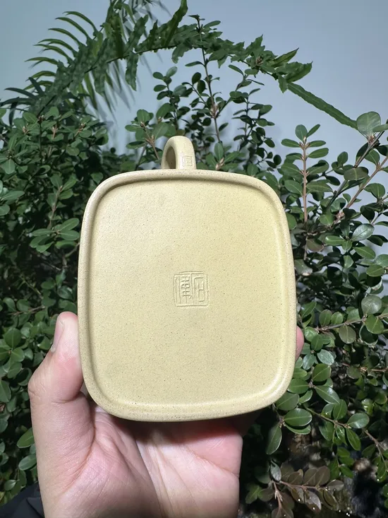 Zisha Teapots: Benshan Duan clay | 210cc capacity 7