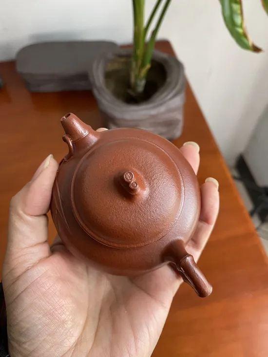Zisha Teapots: Bamboo Spring | Old Zhu Ni 9
