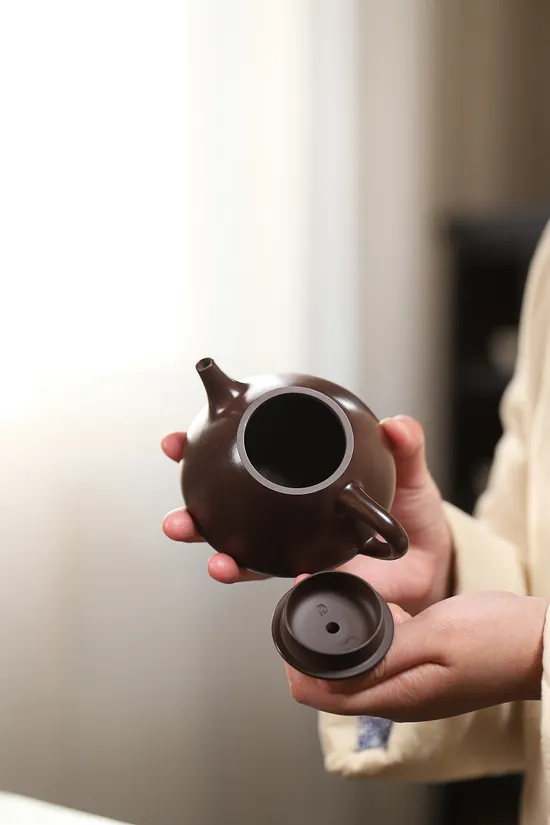 Zisha Teapots: Fu Piao | Yuan Lianyun 2