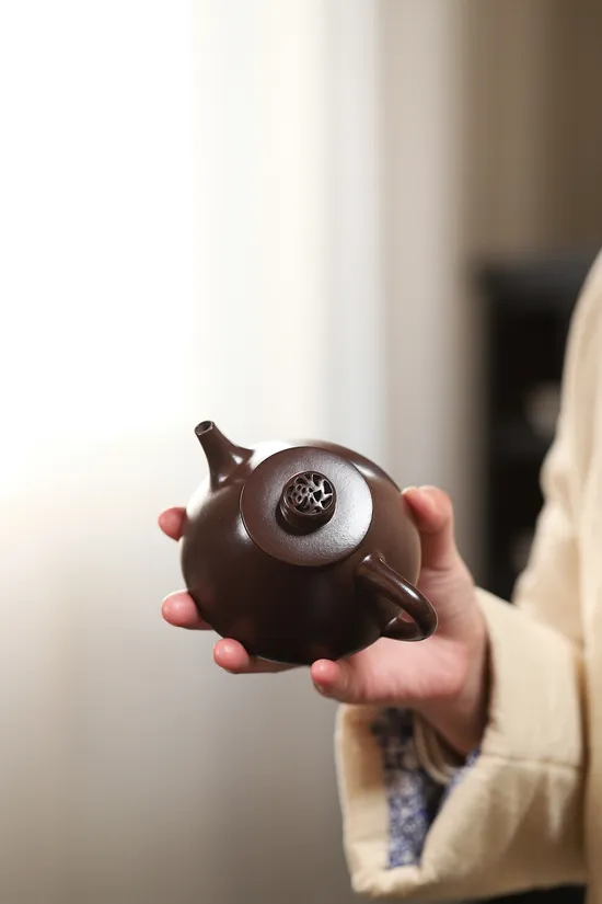 Zisha Teapots: Fu Piao | Yuan Lianyun 8