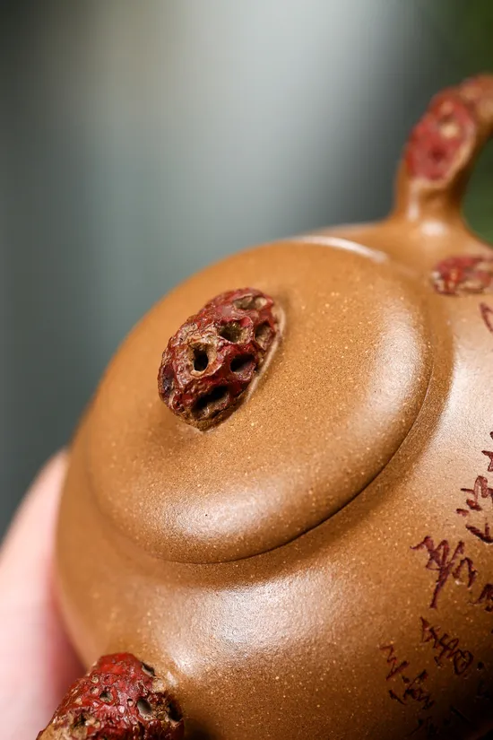Zisha Teapots: aged duanni clay | 260cc capacity 1