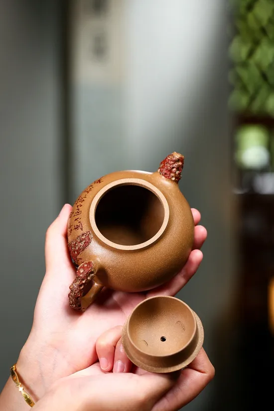 Zisha Teapots: aged duanni clay | 260cc capacity 4