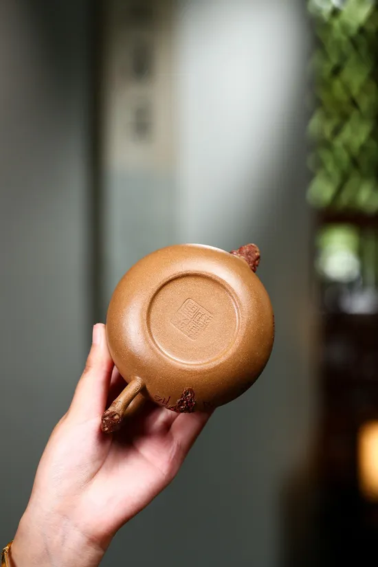 Zisha Teapots: aged duanni clay | 260cc capacity 7