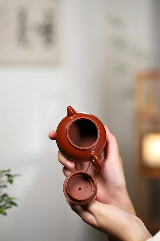 Zisha Teapots: Da Hongpao clay | Master Yang Peng 2