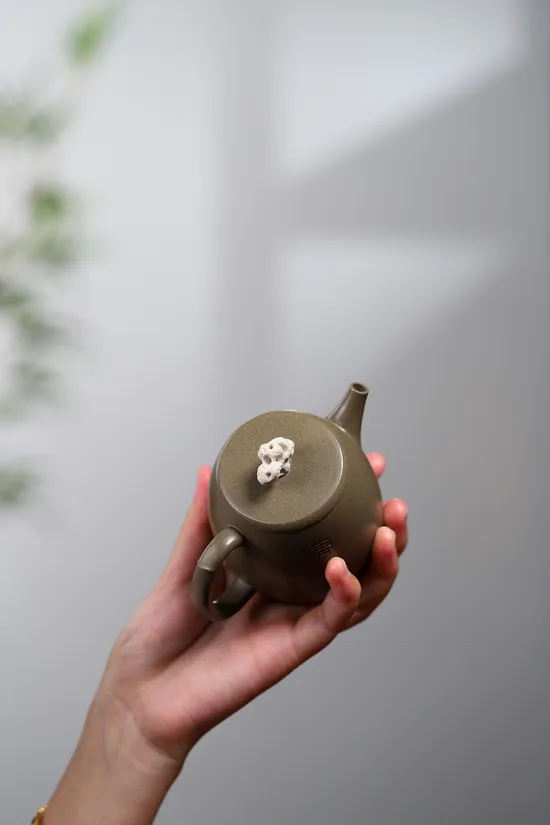 Zisha Teapots: Taihu Stone Bamboo | crab shell green clay 2