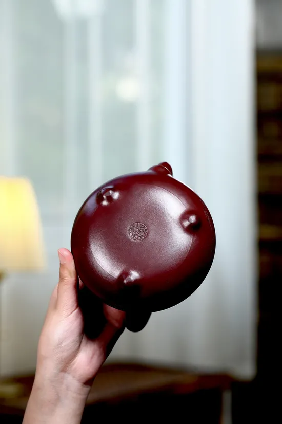Zisha Teapots: dragon blood clay | Shengzhu Handle 3