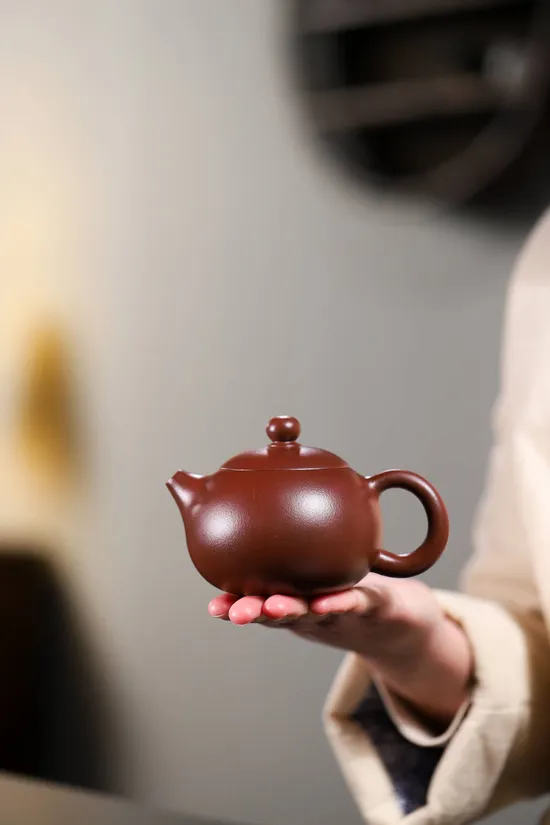 Zisha Teapots: Xishi-style | 200cc capacity | Huanglong Mountain clay 2