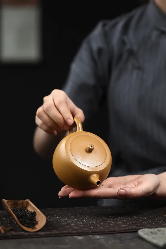 Zisha Teapots: Jinglan Golden Duan clay | 900 CNY 7