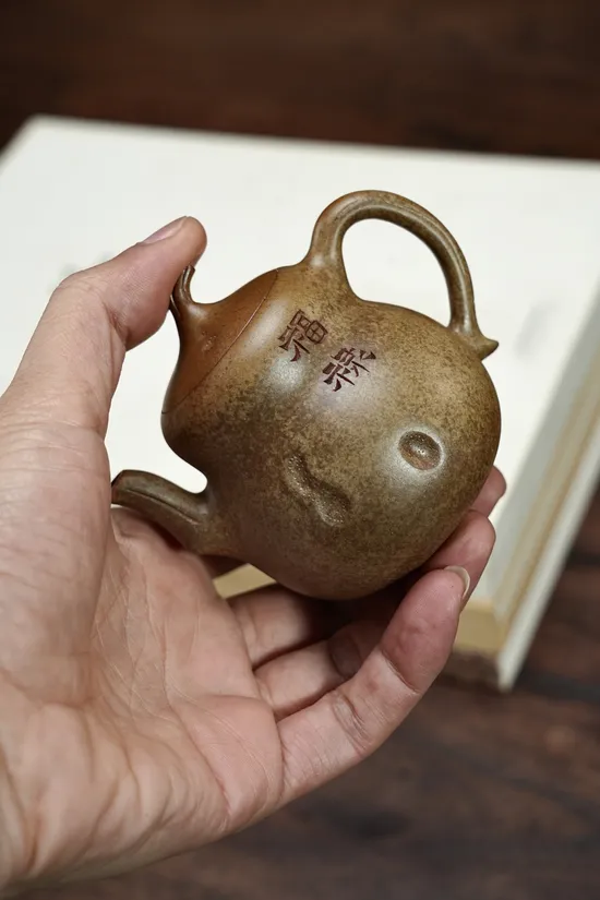 Zisha Teapots: Duan clay | Hulu Fortune design | 130cc capacity 5