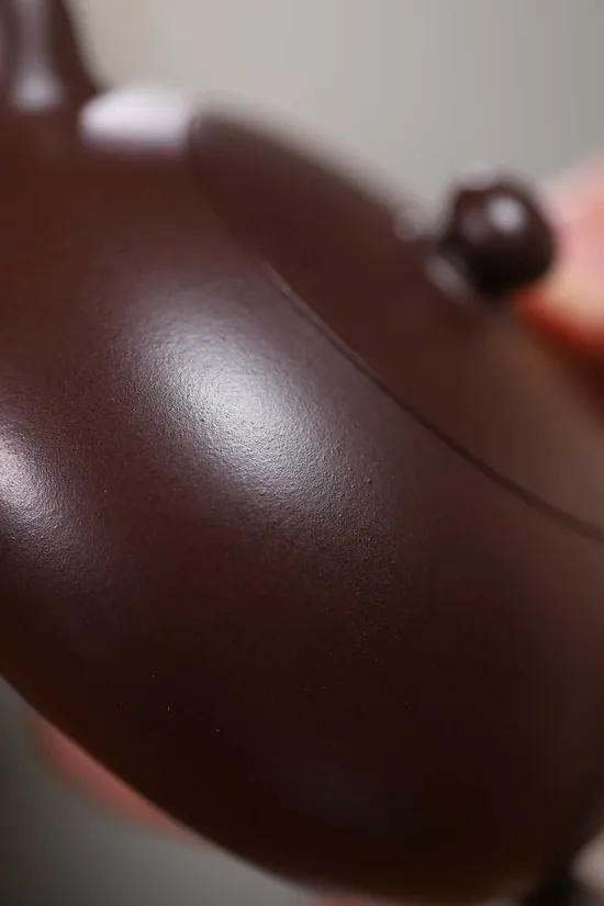 Premium Yixing Teapot | Handcrafted Zisha Clay Artistry 2