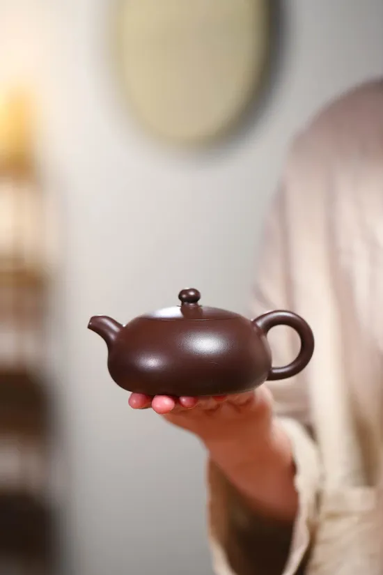 Premium Yixing Teapot | Handcrafted Zisha Clay Artistry 4