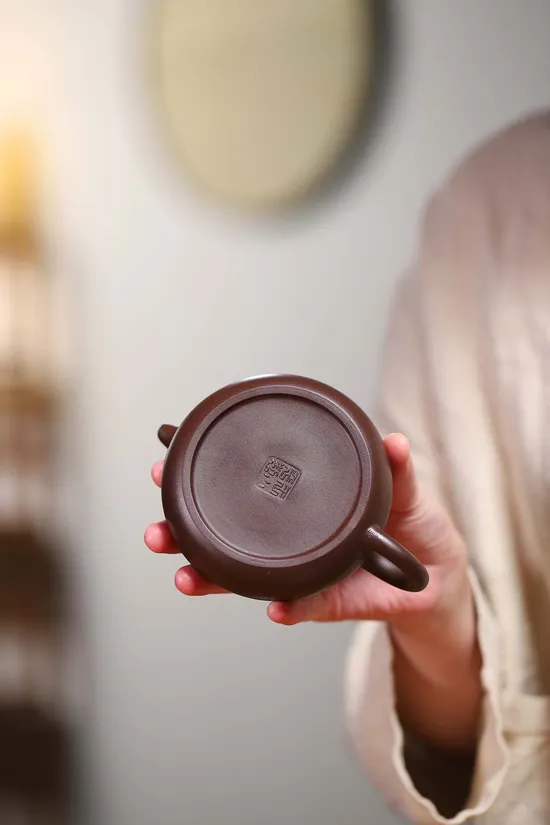 Premium Yixing Teapot | Handcrafted Zisha Clay Artistry 7