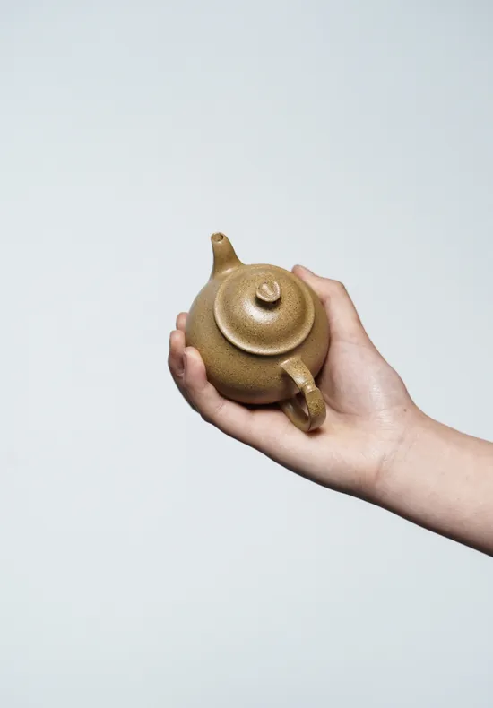 Zisha Teapots: Agarwood-duan clay | Wang Qiang | 150cc capacity 2