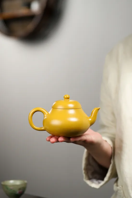 Zisha Teapots: Gold Zhu Ni clay | Master Yang Junbao 7