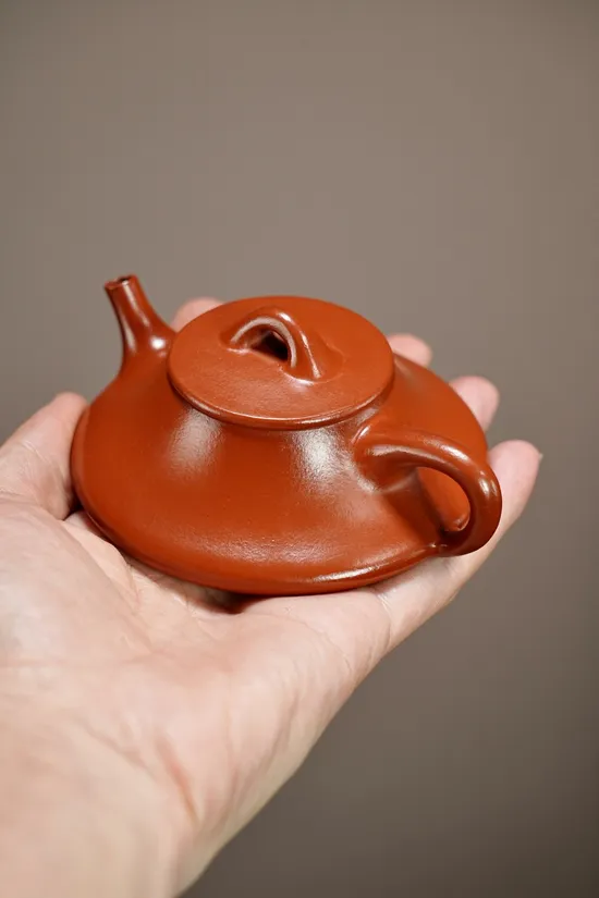 Zisha Teapots: premium Zhu Ni clay | mesh design 9