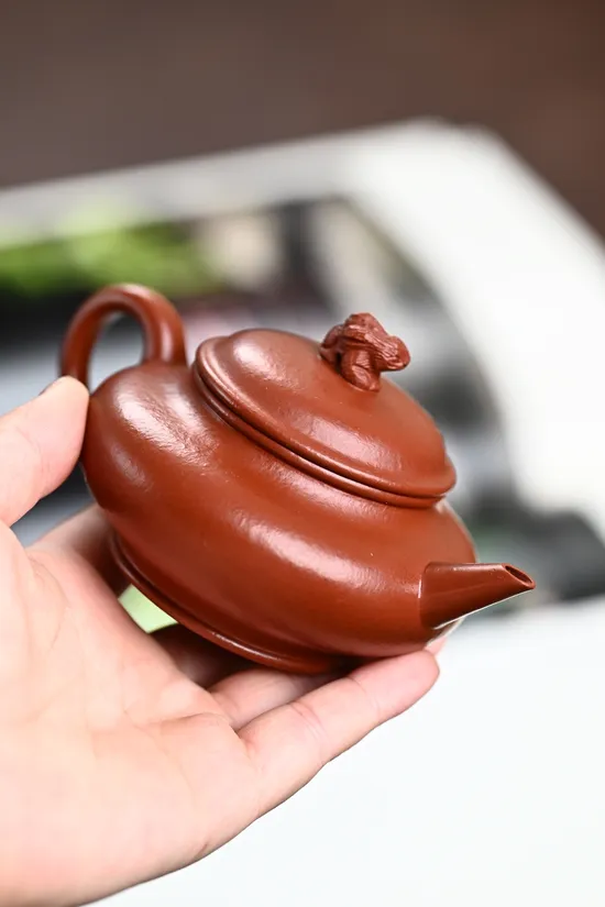 Zisha Teapots: Jade Rabbit Level | Premium Wrinkled Red Clay 4