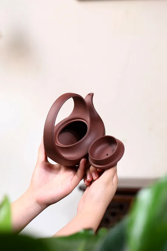 Premium Yixing Zisha Clay Teapot | Handcrafted Artisan Teapots 6