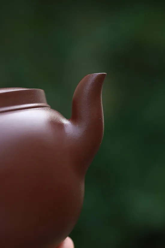 Yixing Zisha Teapot | Collectible Purple Clay Artisan Teapot 2