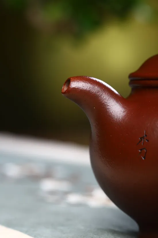 Zisha Teapots: Tang Tian | red dragon skin clay 4