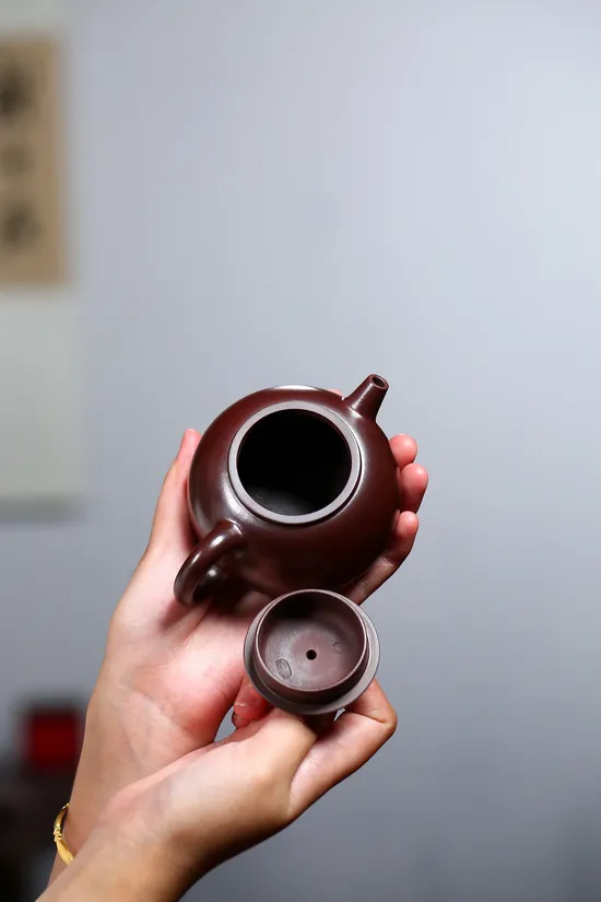 Zisha Teapots: Jinlong Blood Clay | Fully Handmade Palace Lantern 3