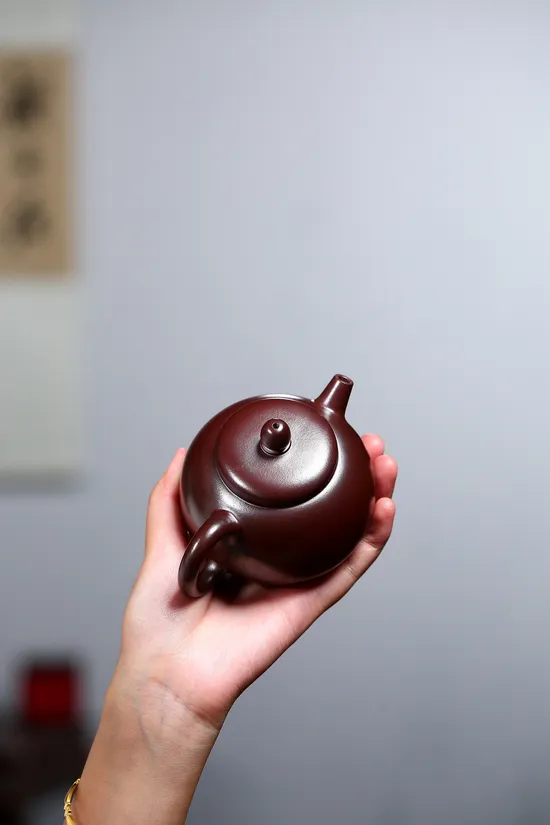 Zisha Teapots: Jinlong Blood Clay | Fully Handmade Palace Lantern 5